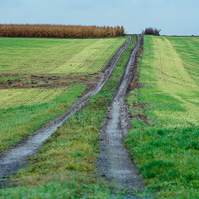 taunus